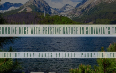Reasons to combine MICE with pristine nature in Slovakia’s Tatras Region