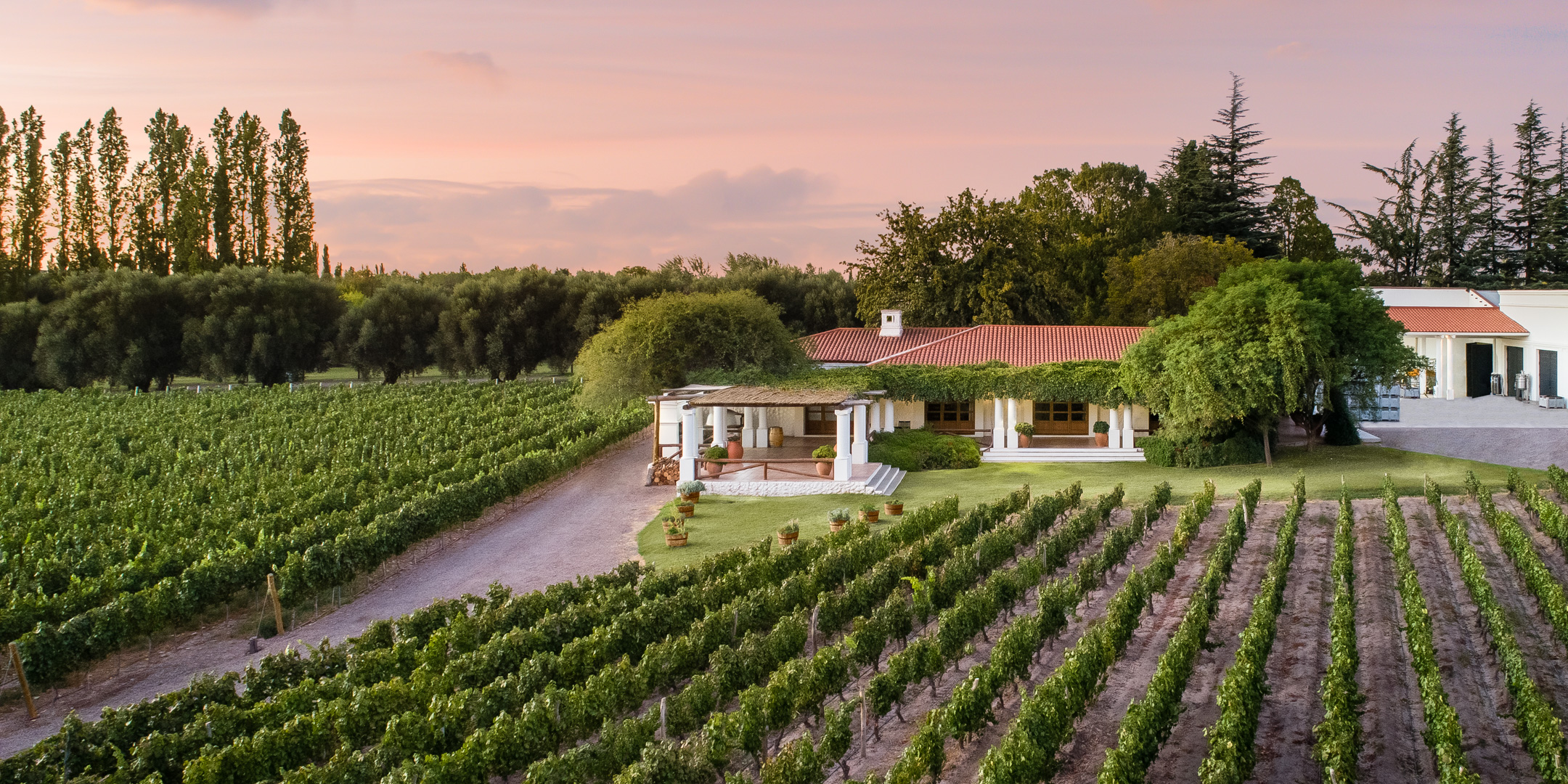 NIETO SENETINER WINERY Vineyards, Mendoza