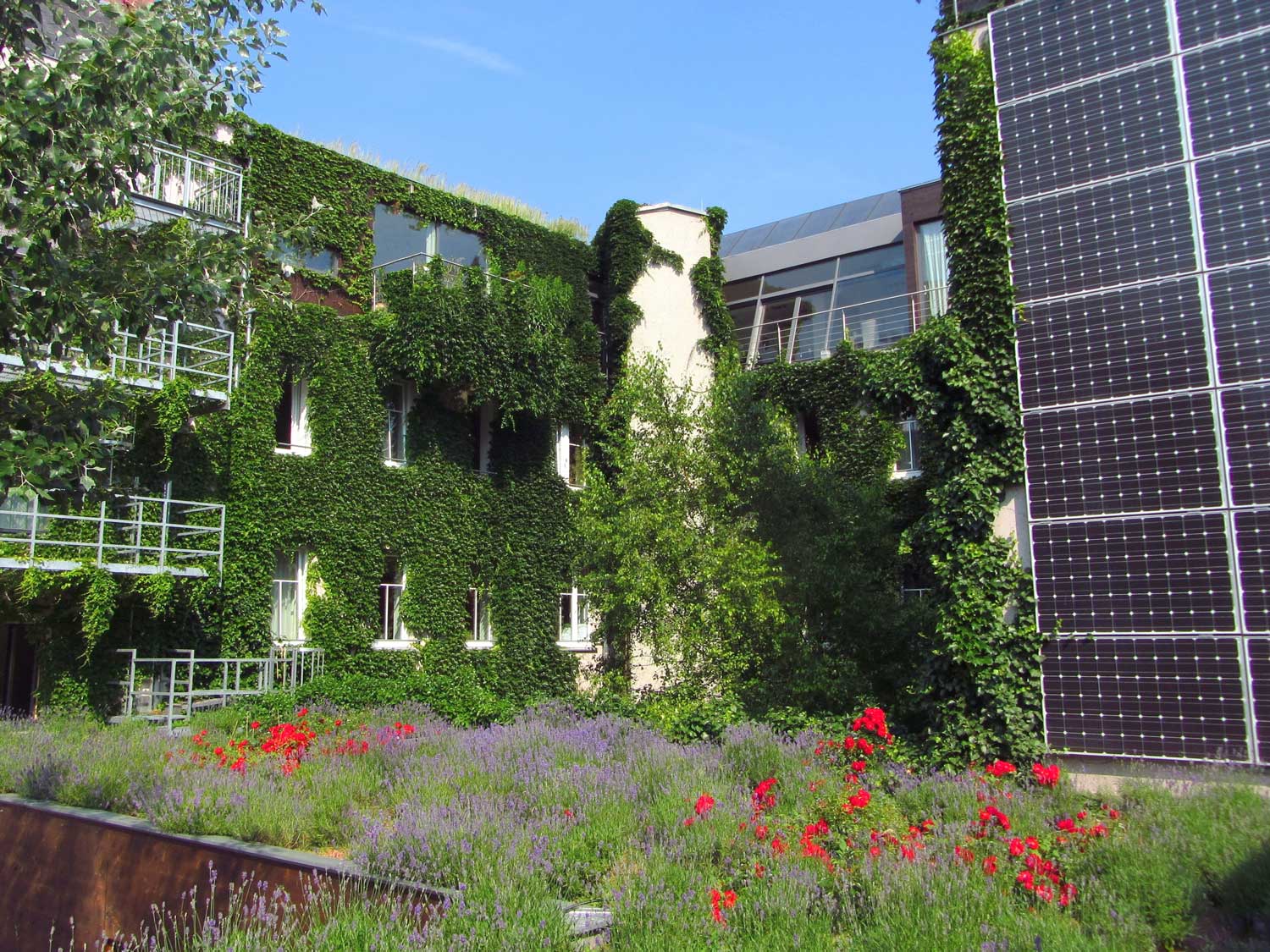 Boutiquehotel_Stadthalle_Vienna Boutiquehotel Stadthalle - green hotel
