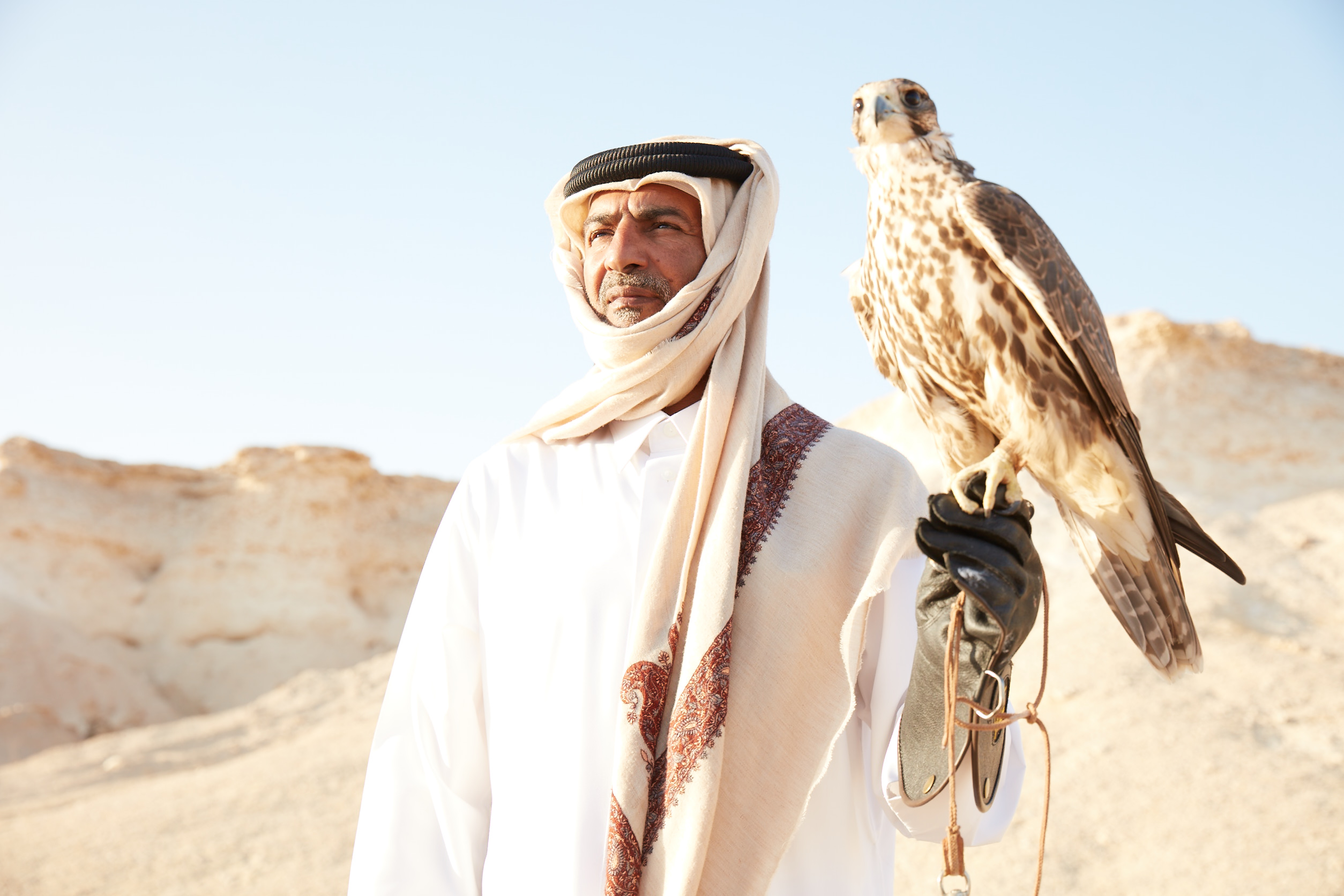 Qatar's Falconry Heritage - Qatar Incentives Qatar's Falconry Heritage - Qatar Incentives