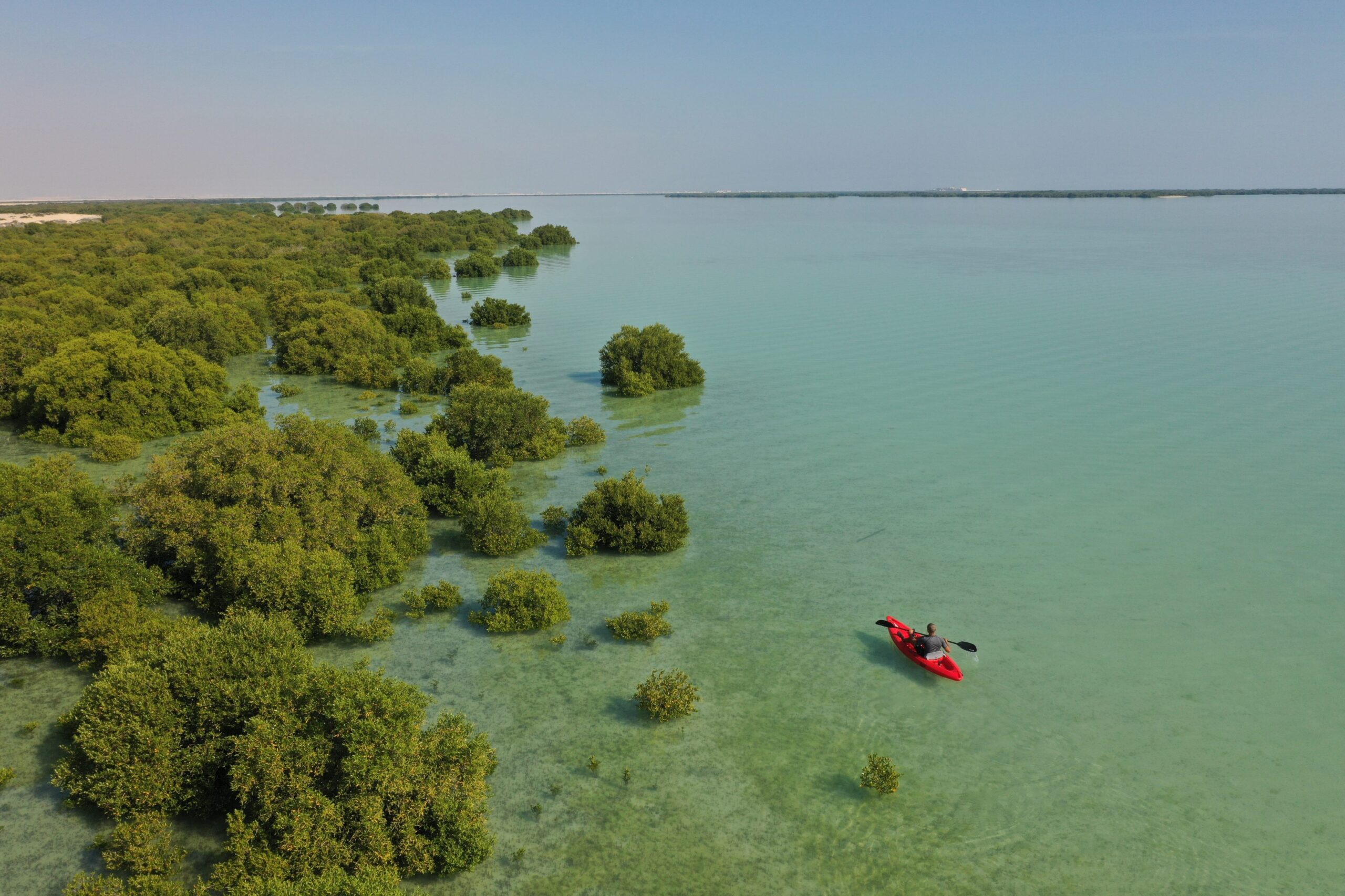 Kayaking the Al Thakira Mangroves - Qatar Incentives Kayaking the Al Thakira Mangroves - Qatar Incentives