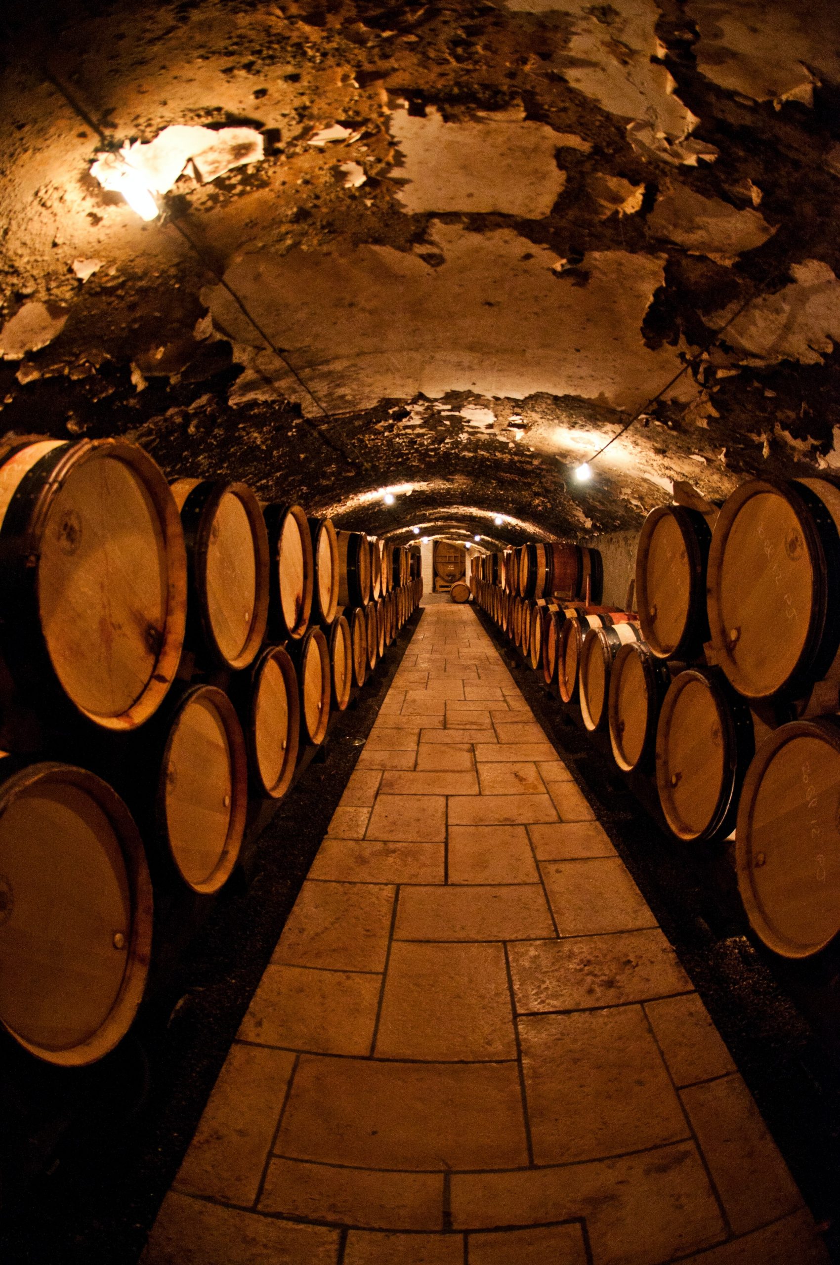 eric-cook-D9WH_vlxicA-unsplash The Tasting Room – Wine and Tapas bar in Cascais