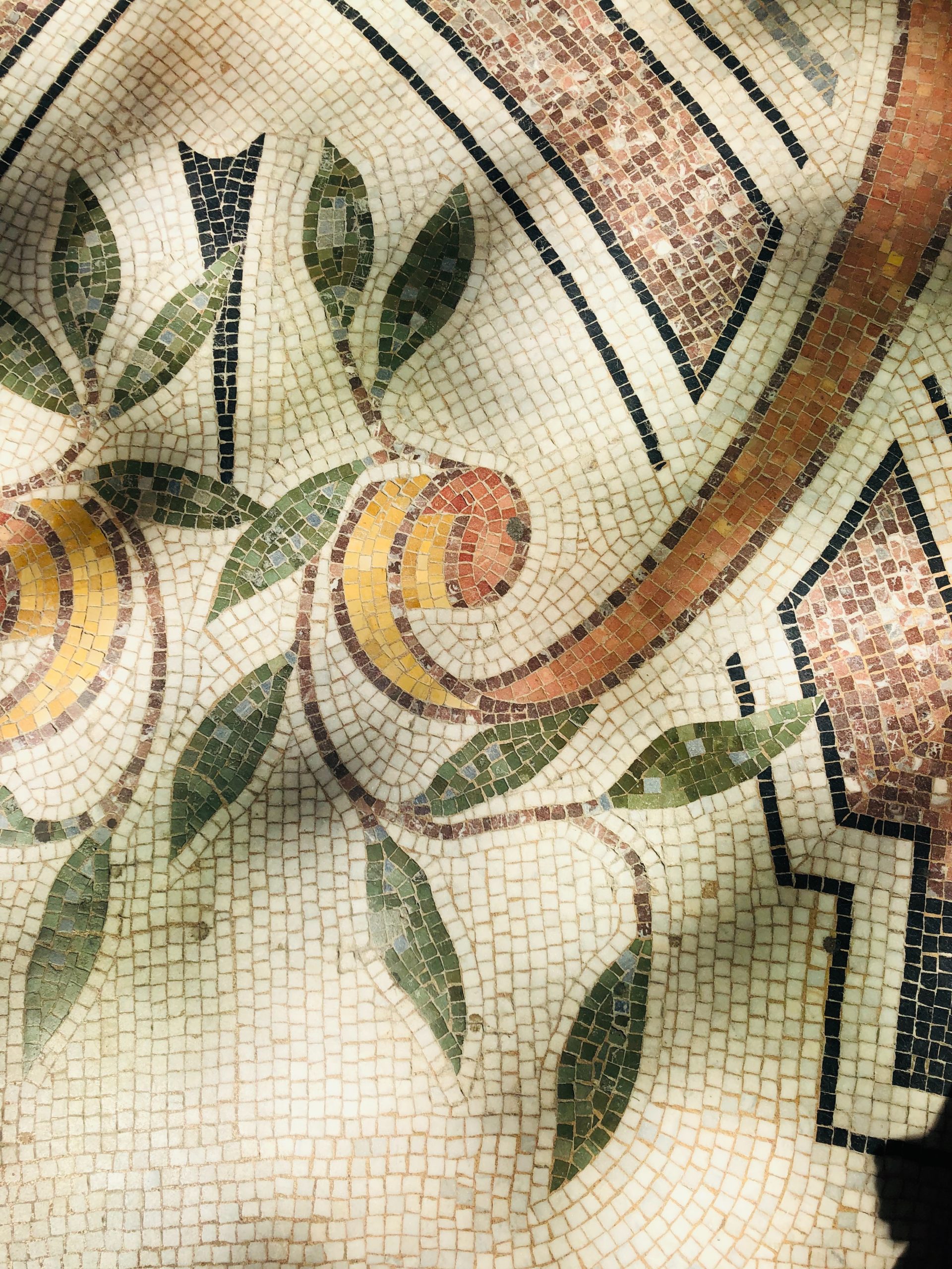 alice-mindru-jy4oF77LQmM-unsplash Eco-louge Palaphita, Dome restaurant Cascais