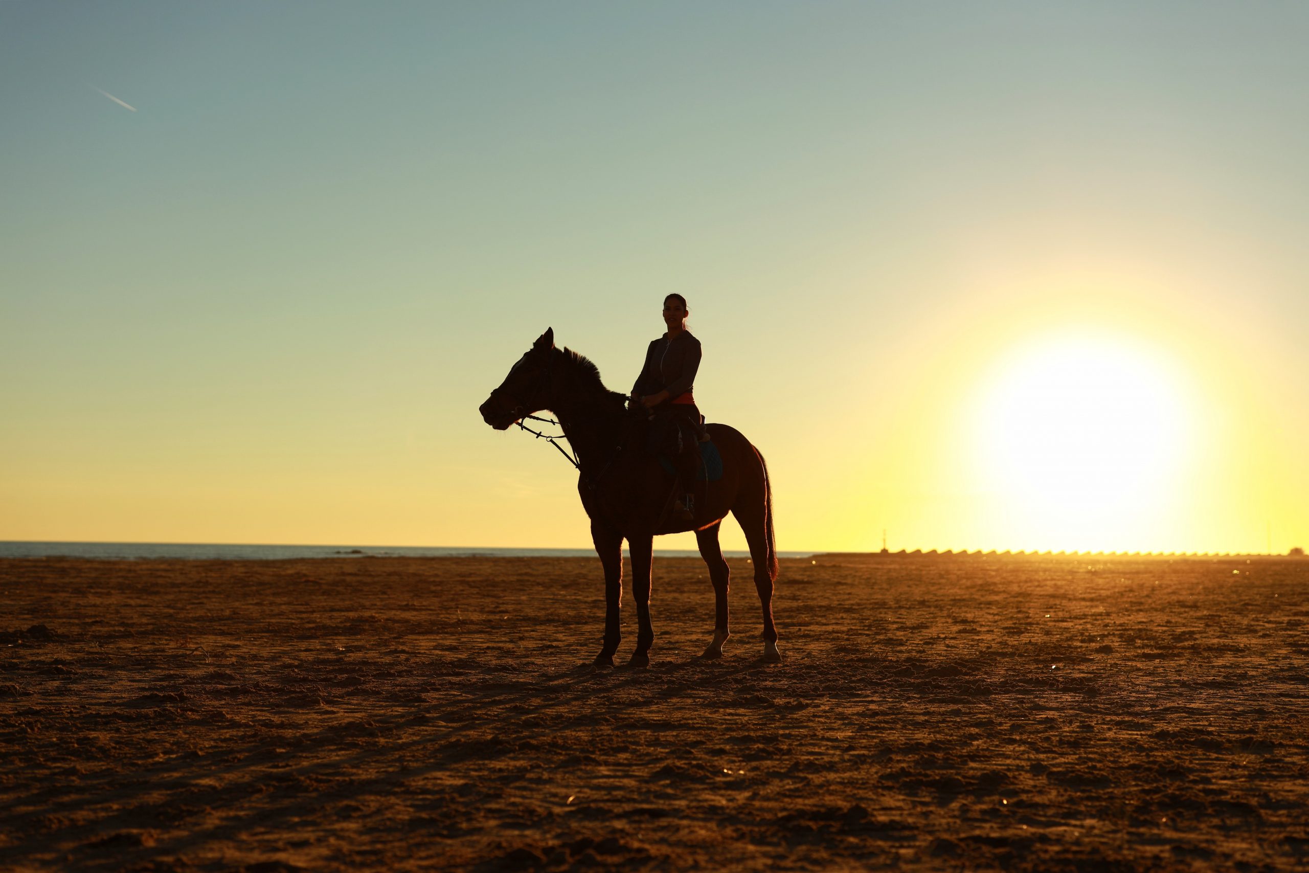 chema-photo-XAW98NjONmM-unsplash 4x4 Desert Safari, Dune Bashing - Qatar Incentives