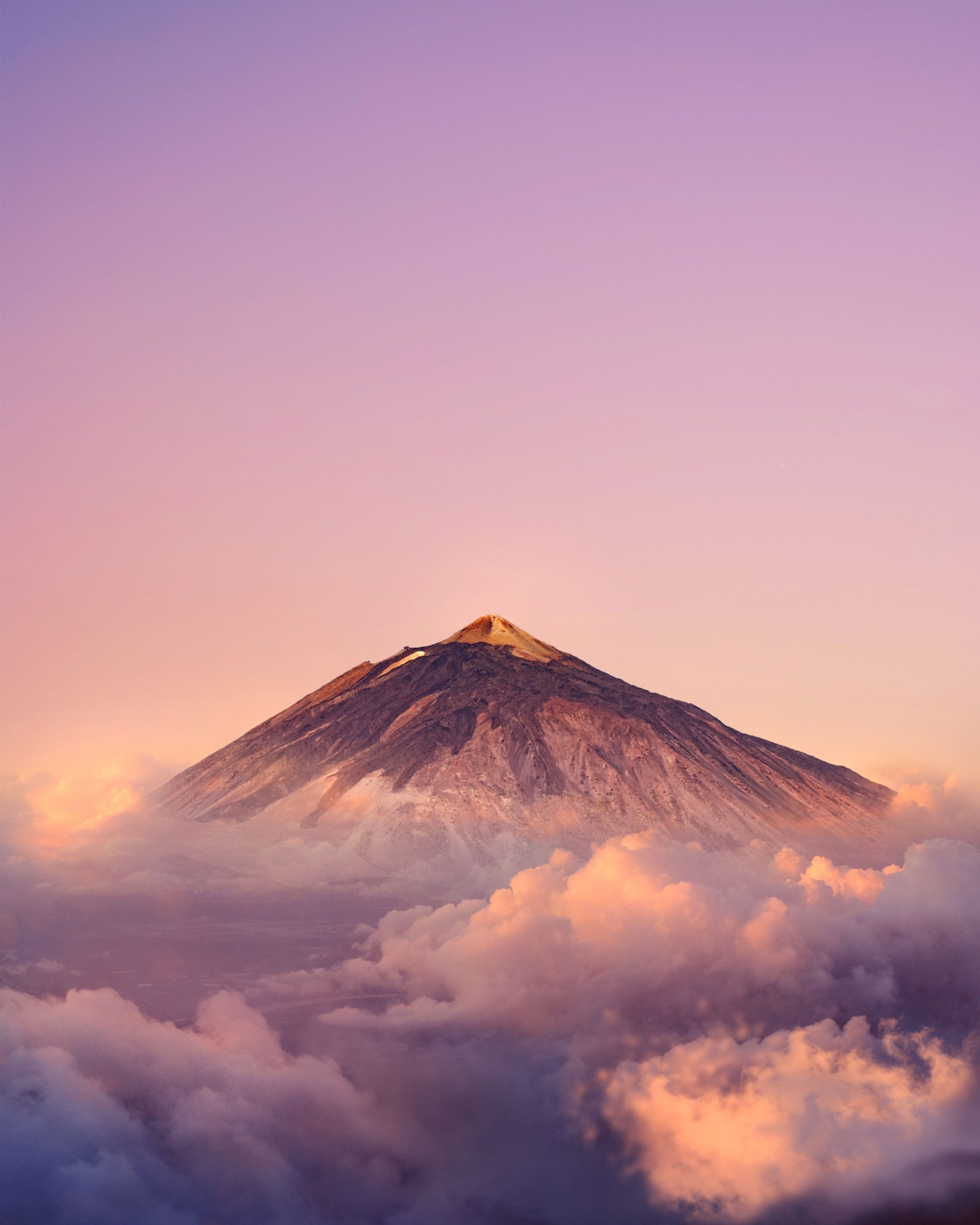 hert-niks-S7QZcYLJJsA-unsplash