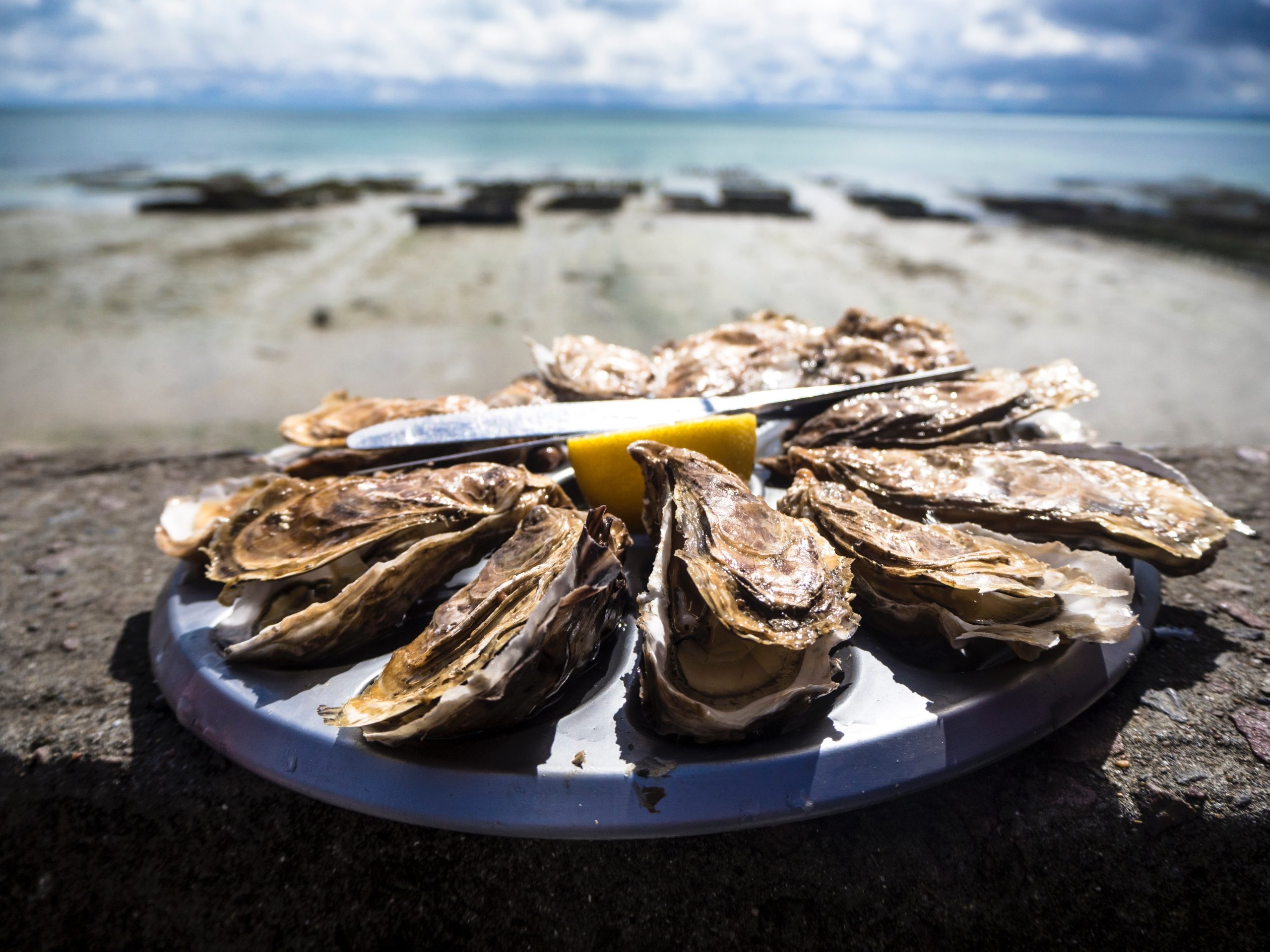 tommaso-cantelli-oWyg8EVd0Nc-unsplash Eco-louge Palaphita, Dome restaurant Cascais