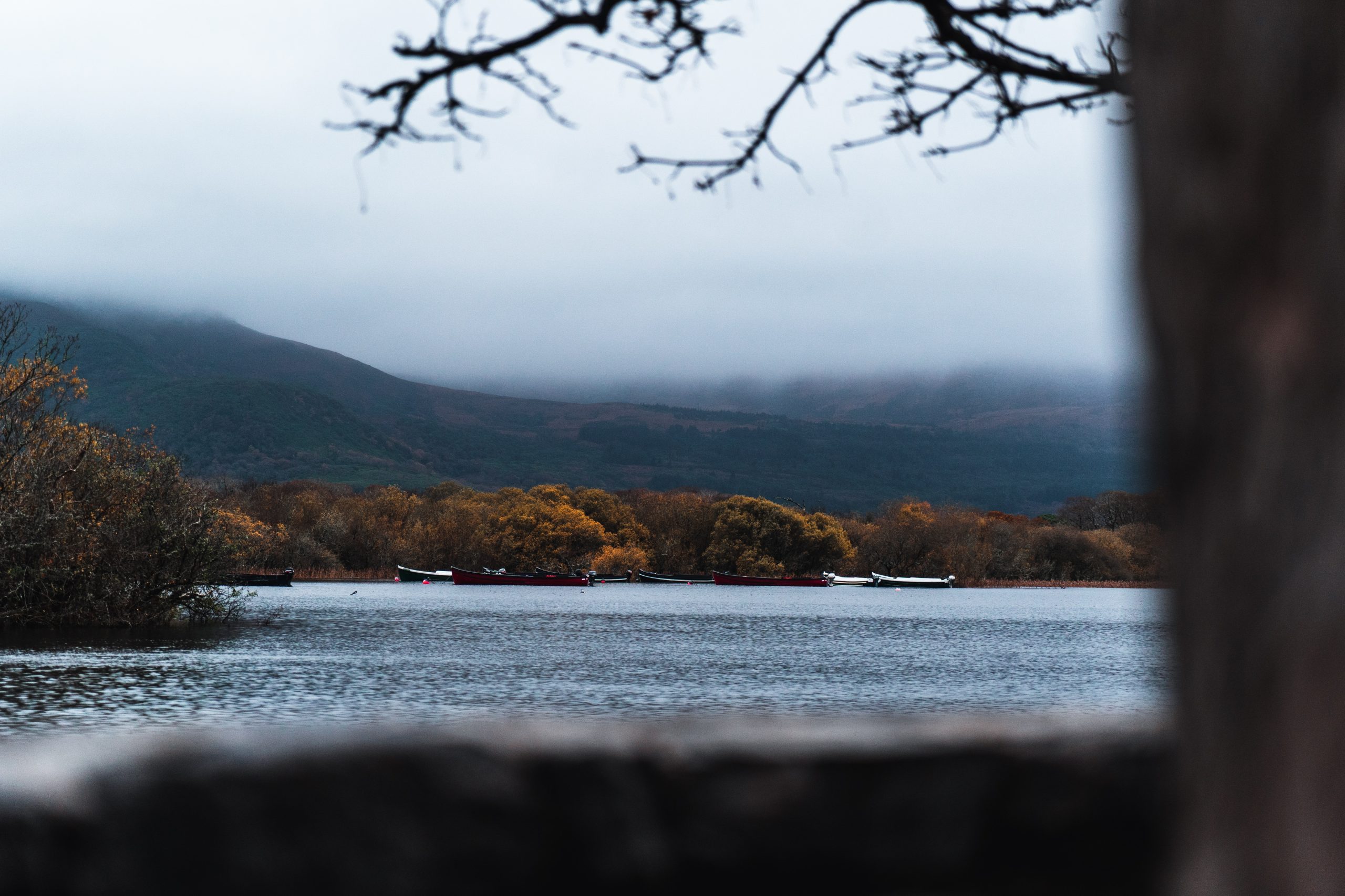alejandro-luengo-vscy4Or5BP4-unsplash