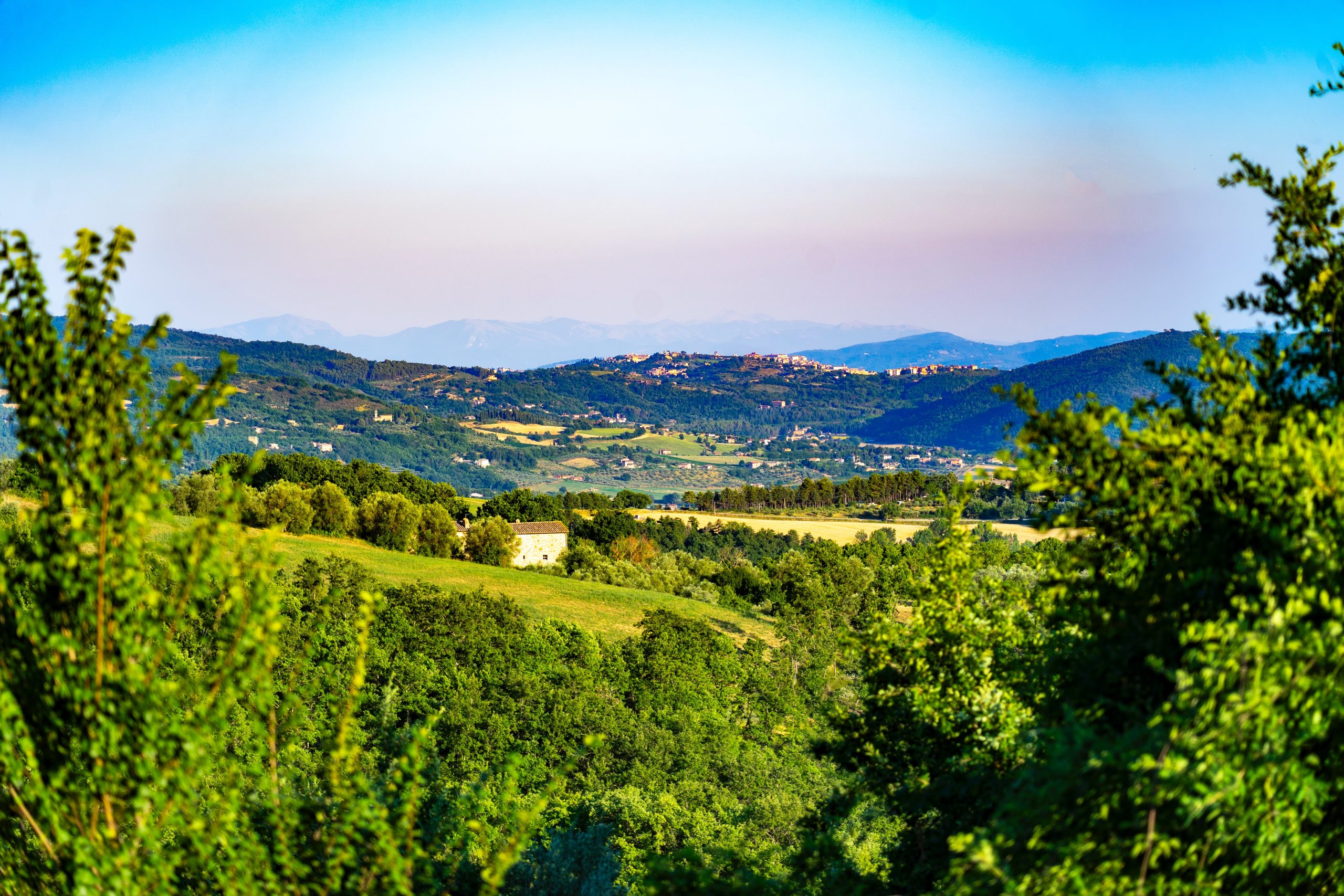 nils-schirmer-8tfbyaasvZQ-unsplash