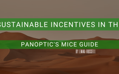 Top Sustainability Incentive Events in The UAE – Abu Dhabi, Dubai, Ras al Khaimah
