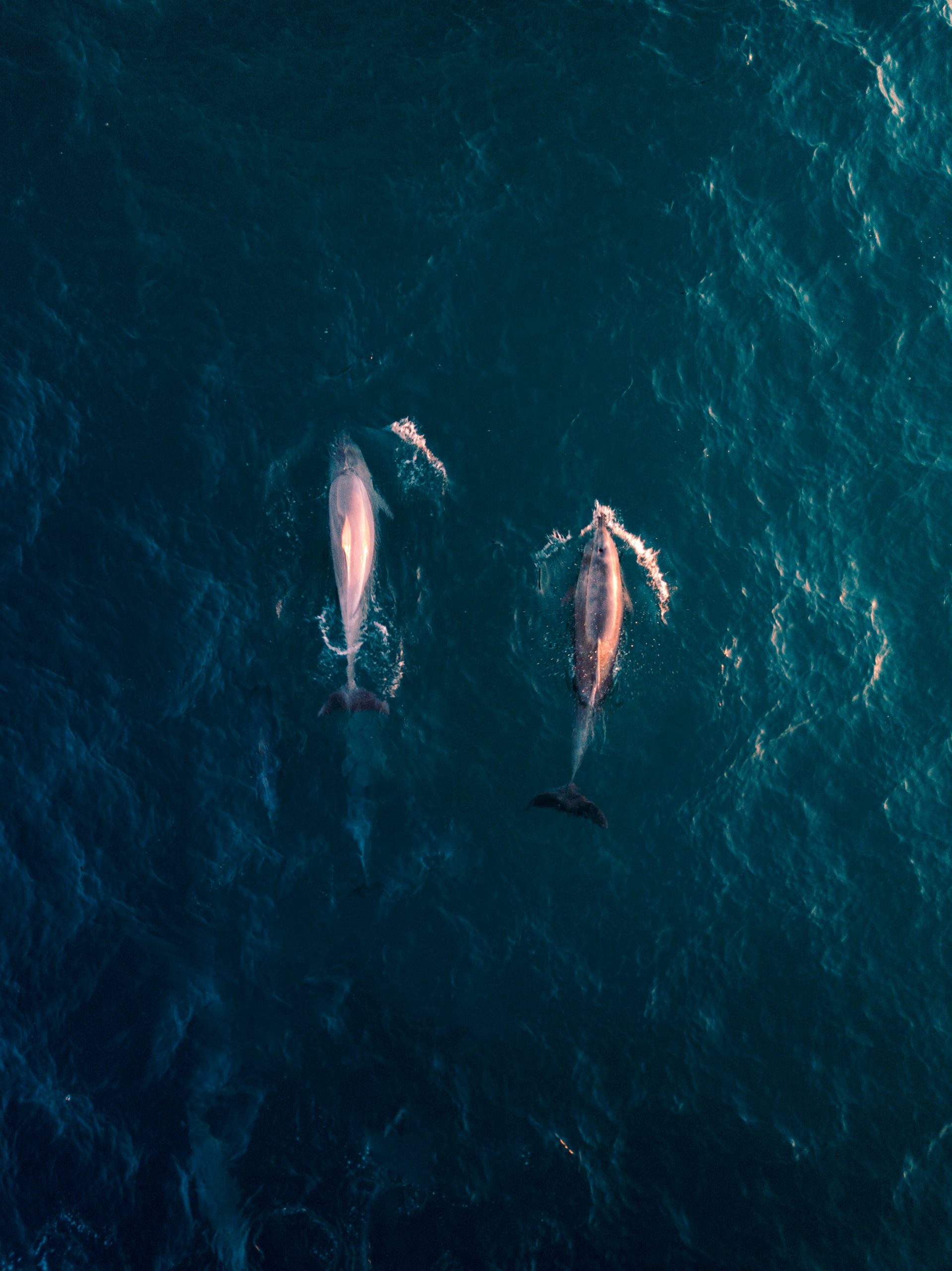 lachlan-dempsey-sTclPXTDcXo-unsplash