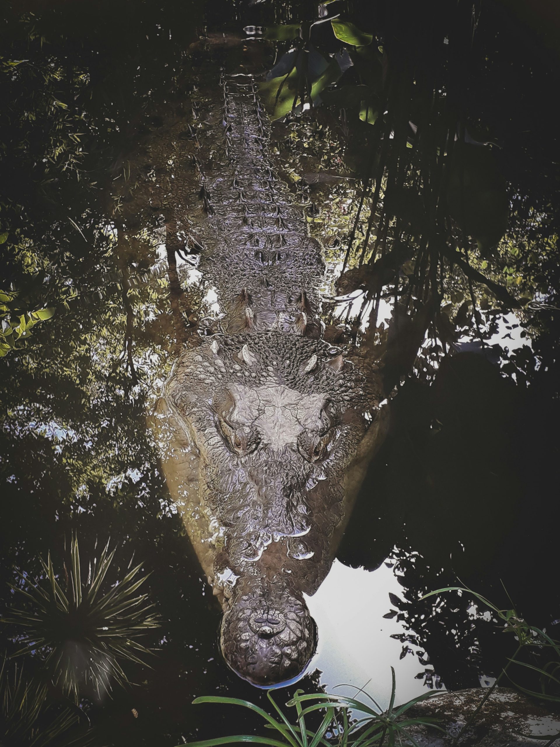 max-letek-g5pEHS0AglY-unsplash Eco-louge Palaphita, Dome restaurant Cascais