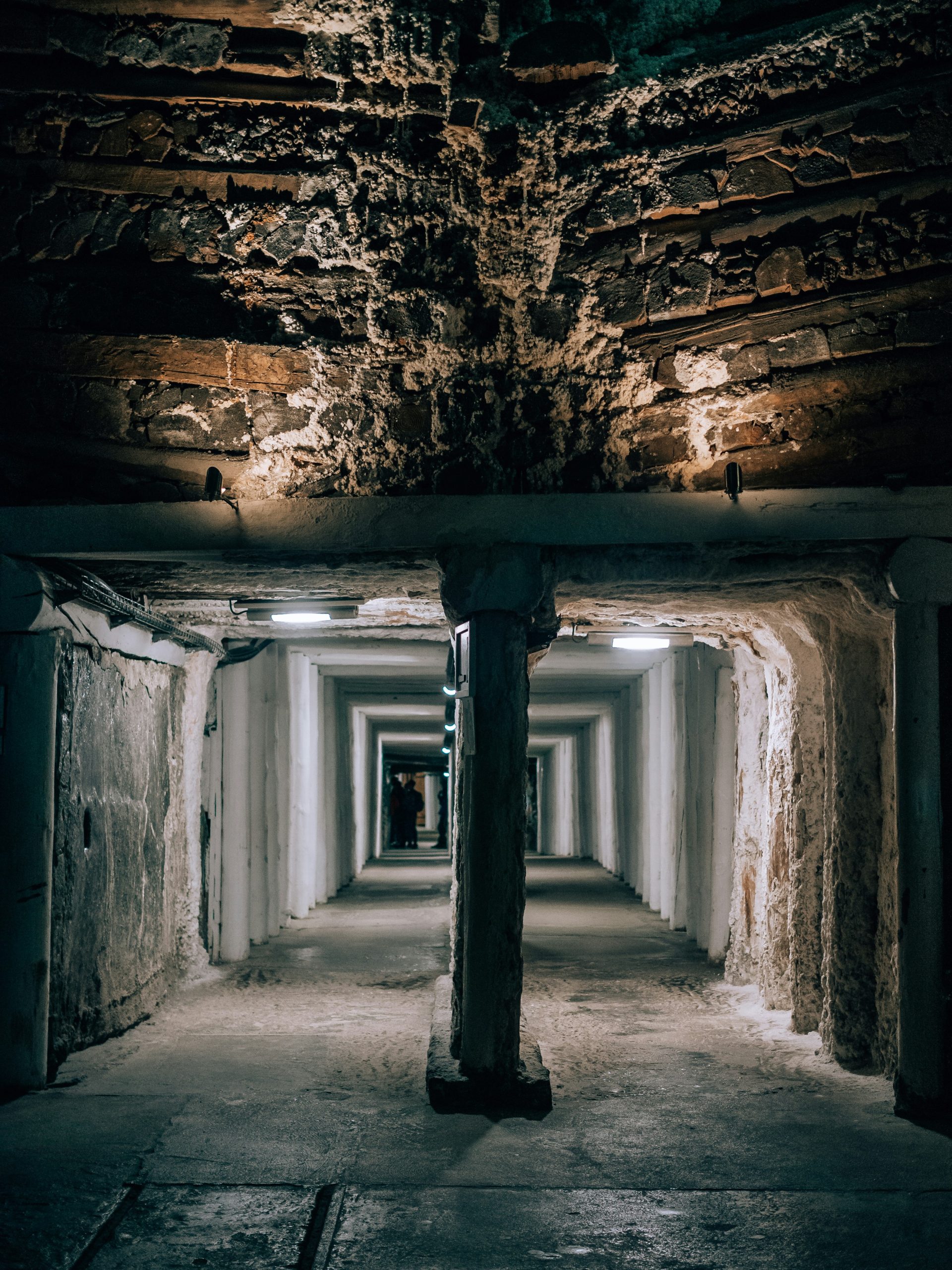 yoav-aziz-iLwvYvAZO3s-unsplash