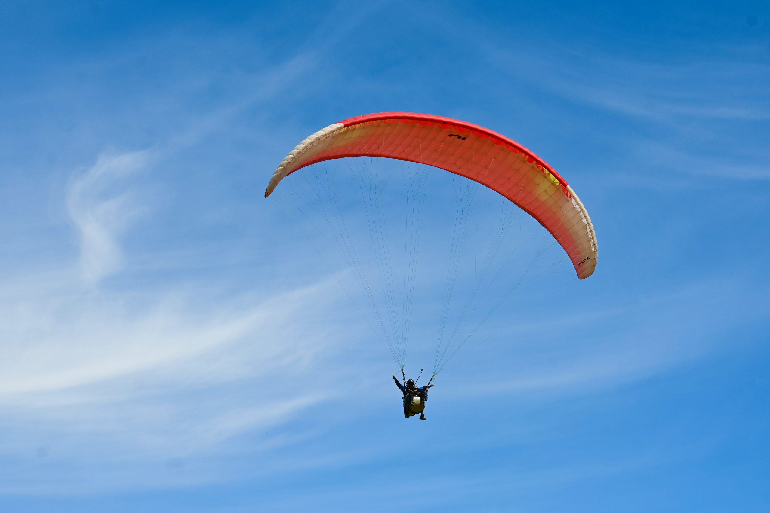 jayanth-muppaneni-_uP1NW_gbBU-unsplash