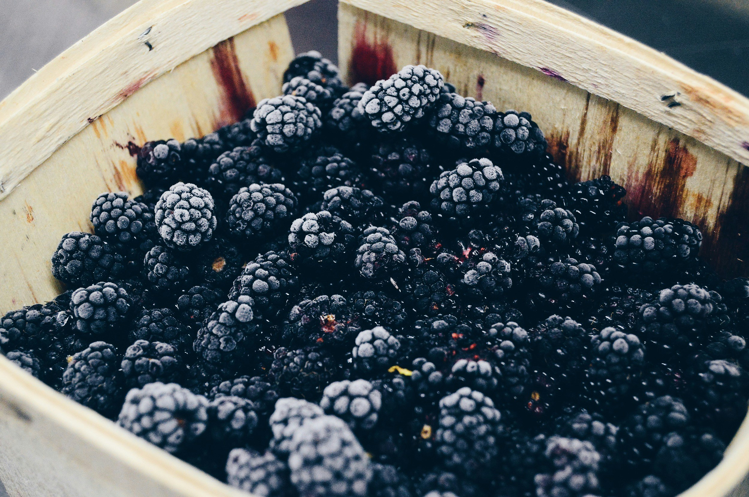 nick-sarro-qydnkODHMo4-unsplash